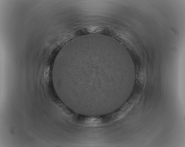 X0000115600319200911101412