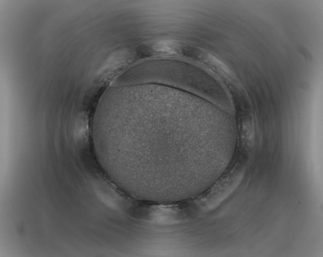 X0000115600320200911101412