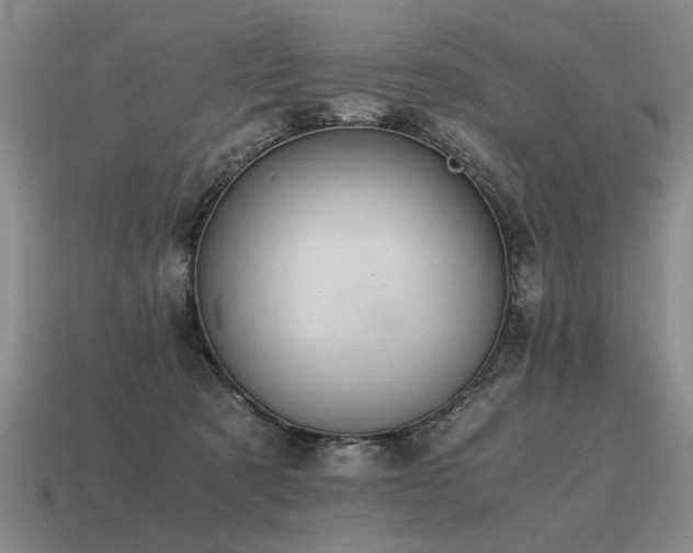 X0000115600321200911101412