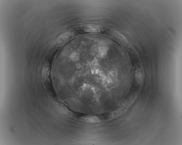 X0000115600322200911101412