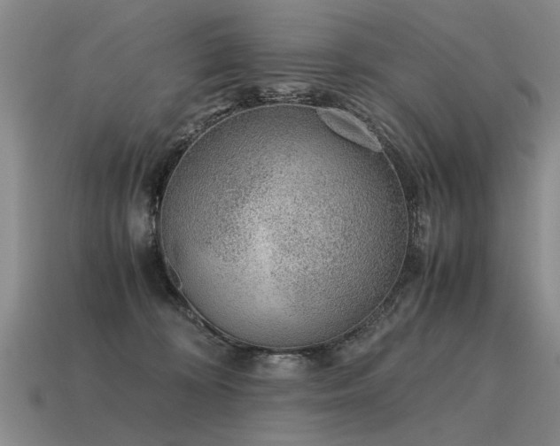 X0000115600324200911101411