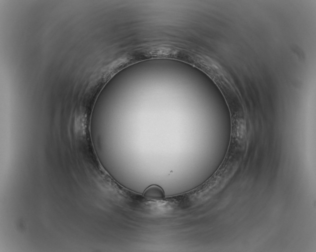 X0000115600326200911101411