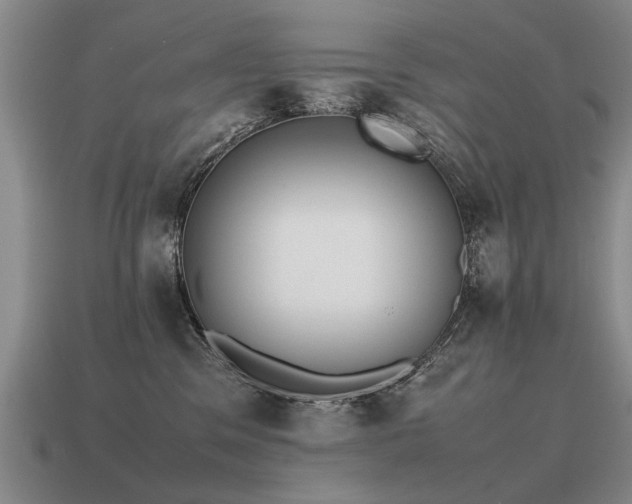 X0000115600329200911101411