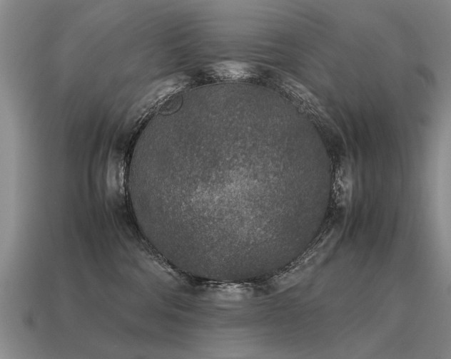 X0000115600330200911101411