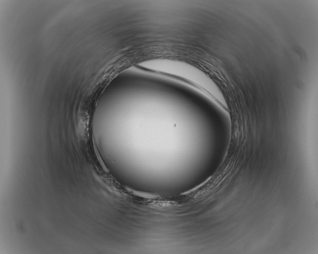 X0000115600332200911101411