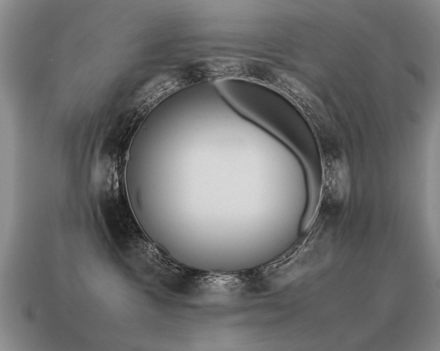 X0000115600333200911101411