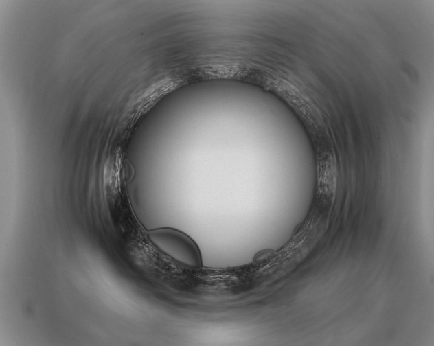 X0000115600334200911101411