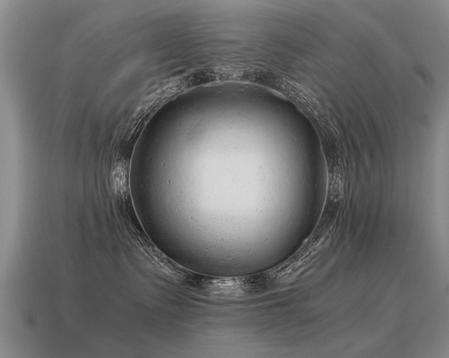 X0000115600335200911101411