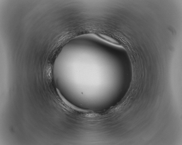 X0000115600336200911101411