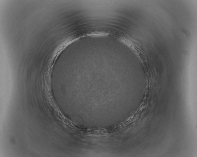 X0000115600337200911101410