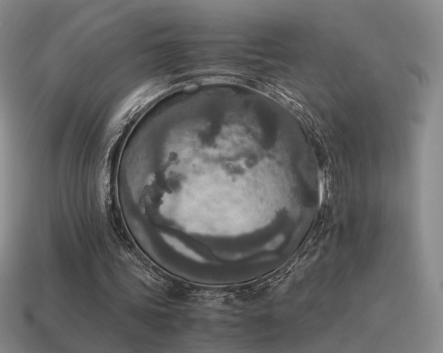 X0000115600339200911101410