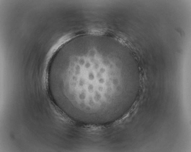 X0000115600343200911101411