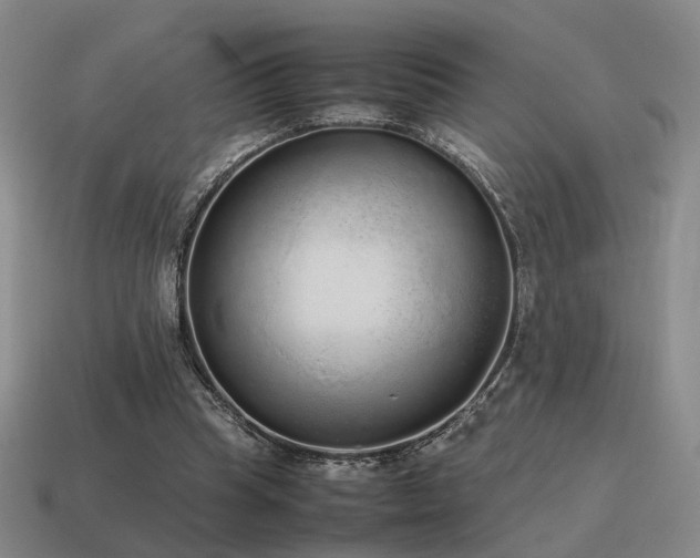 X0000115600345200911101411