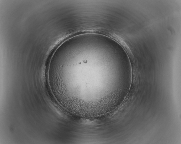 X0000115600346200911101411