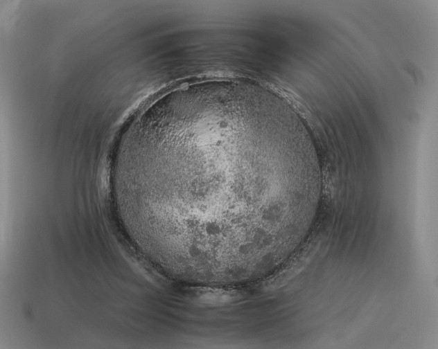 X0000115600347200911101411