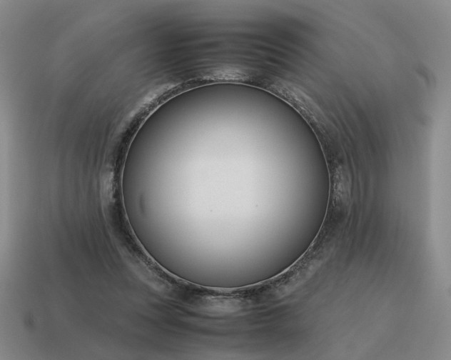 X0000115600351200911101411