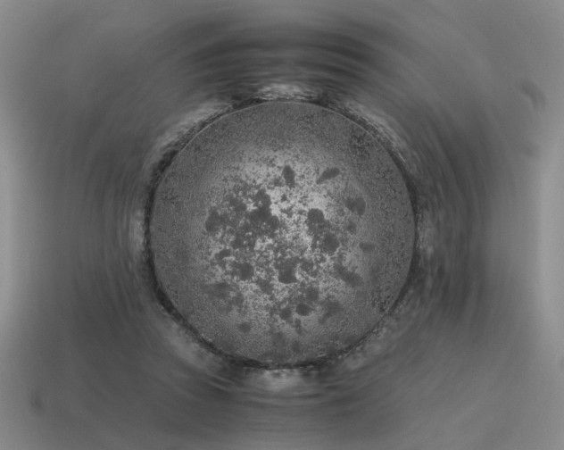 X0000115600353200911101411