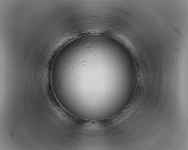 X0000115600354200911101411