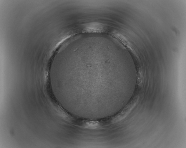 X0000115600355200911101411