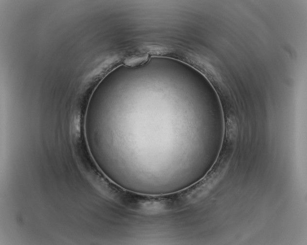 X0000115600358200911101411