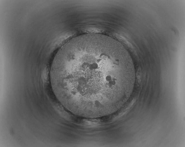 X0000115600359200911101411