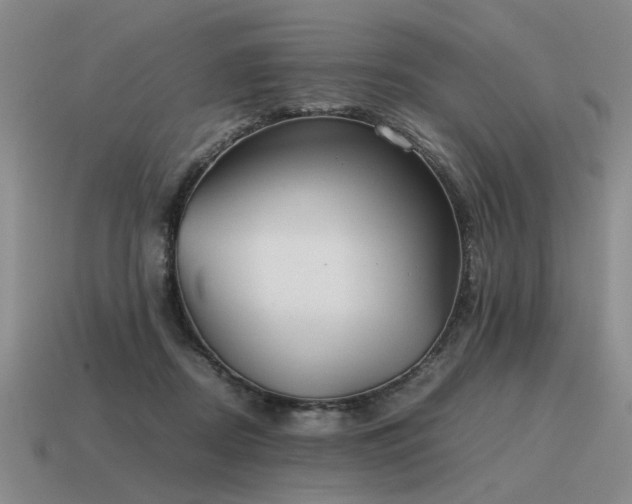 X0000115600362200911101411