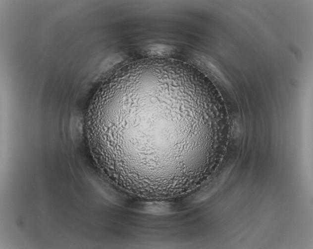 X0000115600363200911101411