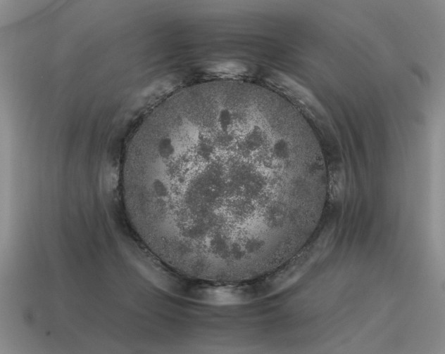 X0000115600365200911101411