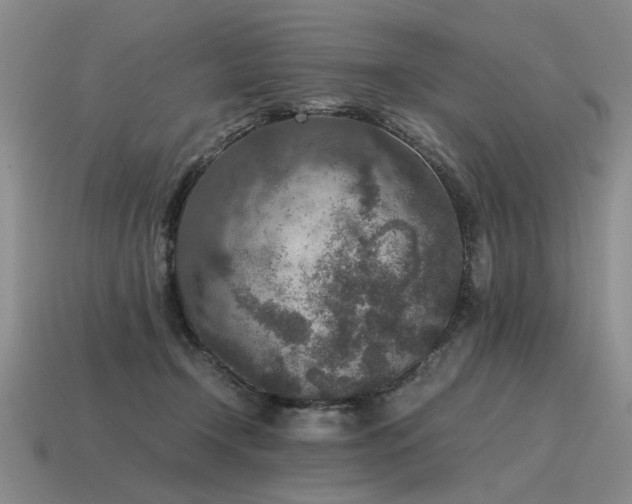 X0000115600366200911101411