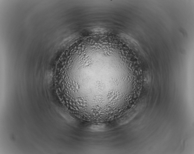 X0000115600369200911101411