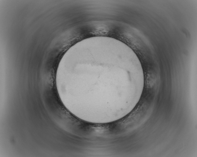 X0000115600370200911101411