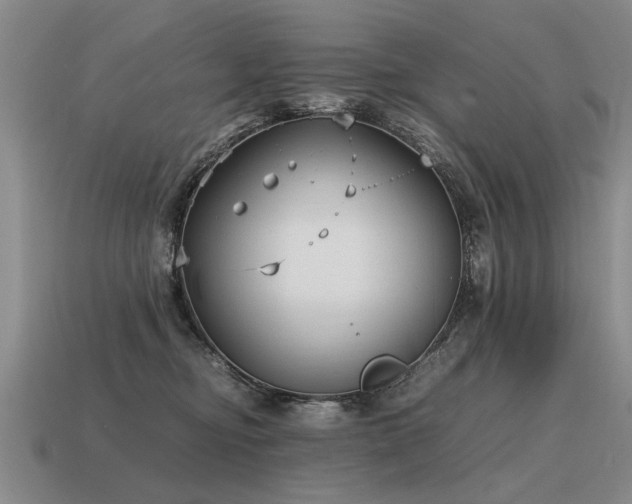 X0000115600374200911101411