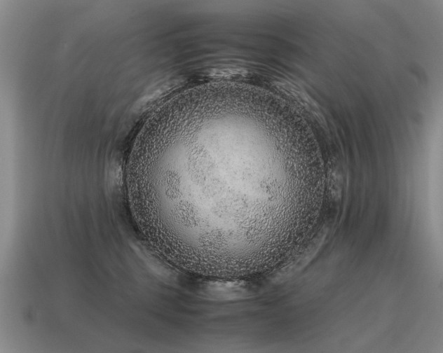 X0000115600375200911101411