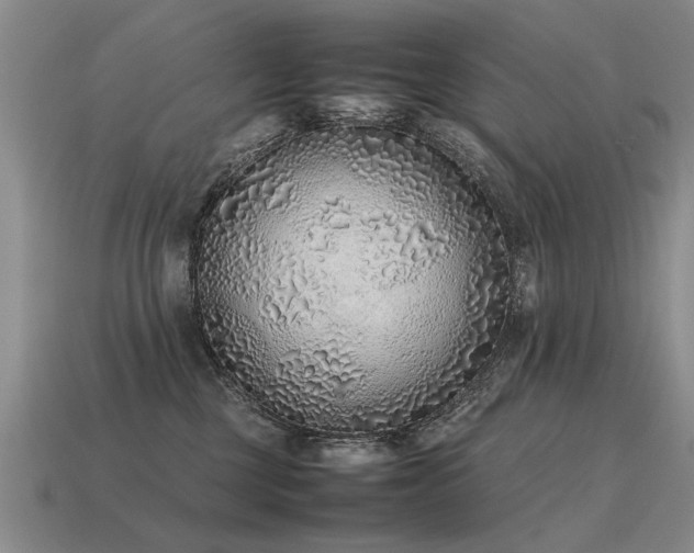 X0000115600377200911101411