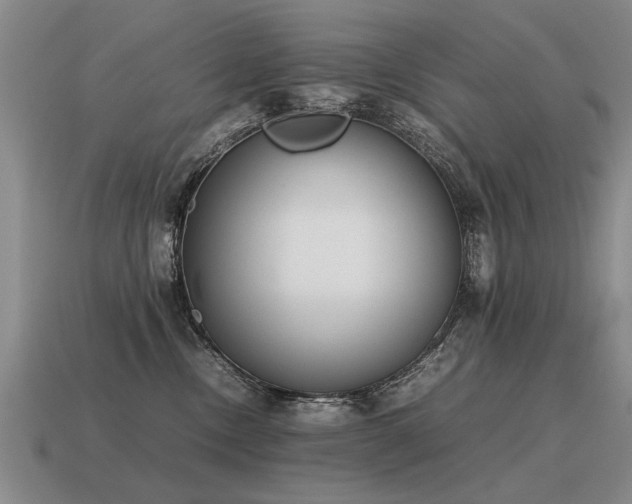 X0000115600378200911101411