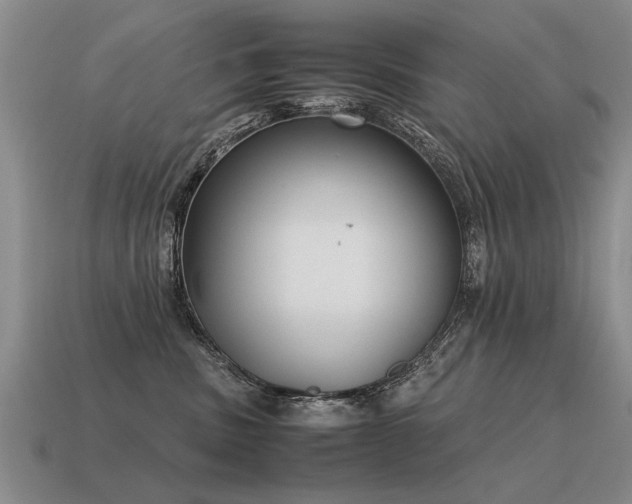 X0000115600379200911101411