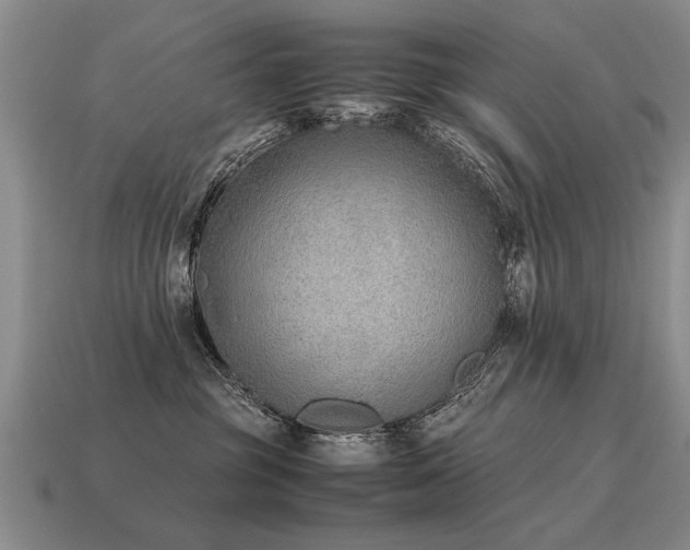 X0000115600381200911101411