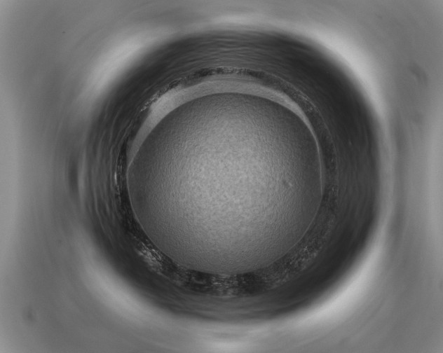 X0000115600382200911101411