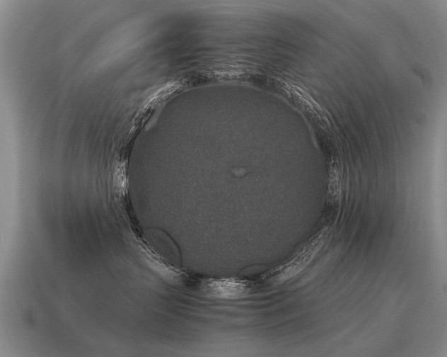 X0000115600383200911101411