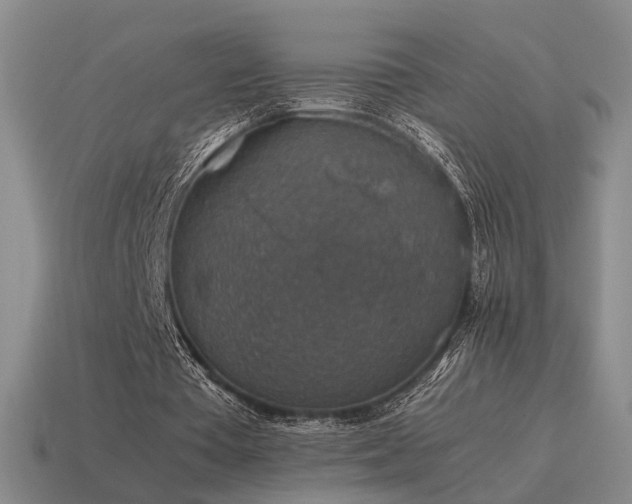 X0000115600385200911101410