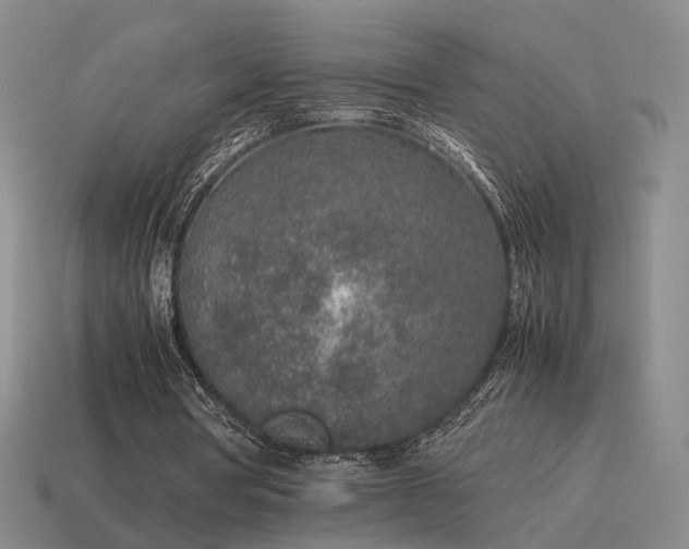 X0000115600386200911101410