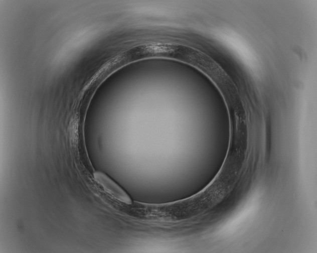 X0000115600387200911101410