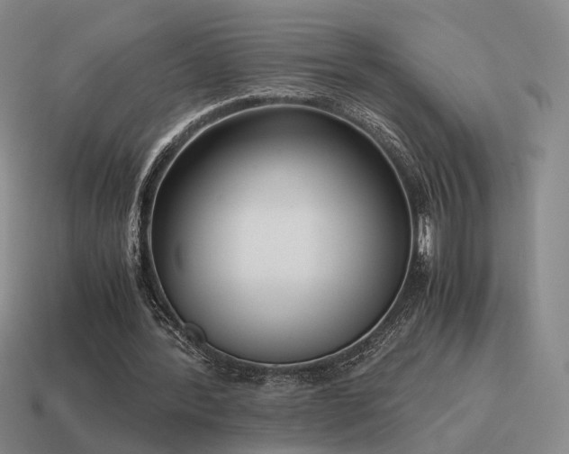 X0000115600388200911101410