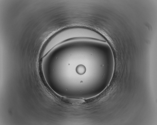 X0000115600391200911101410