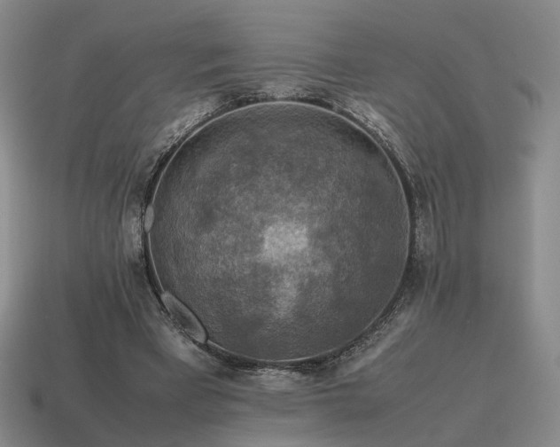 X0000115600393200911101410