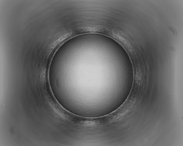 X0000115600394200911101410