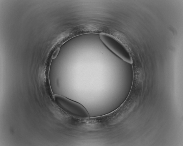 X0000115600395200911101410