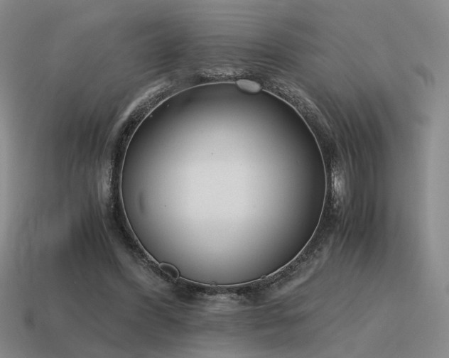 X0000115600396200911101410