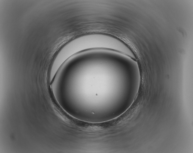 X0000115600397200911101410