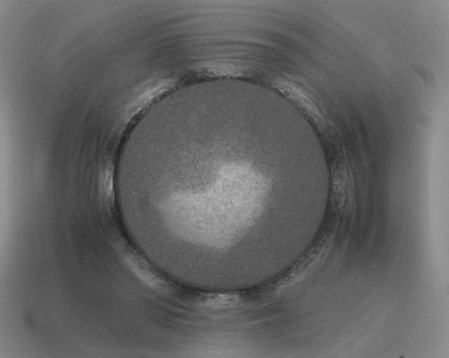 X0000115600398200911101410